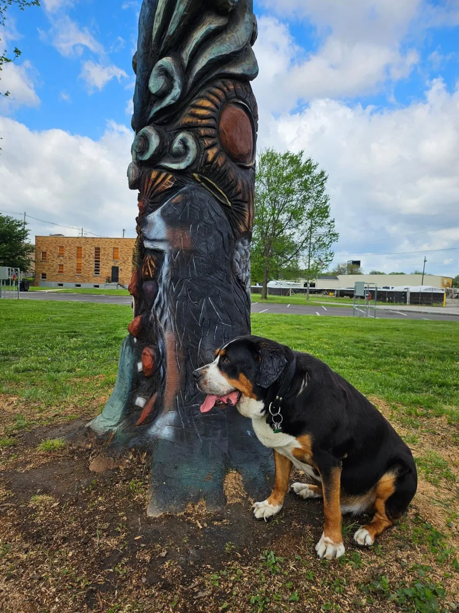 Koa by the carved tree at Jubilee Field